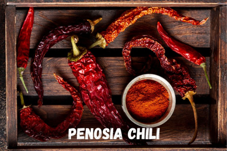 penosia chili